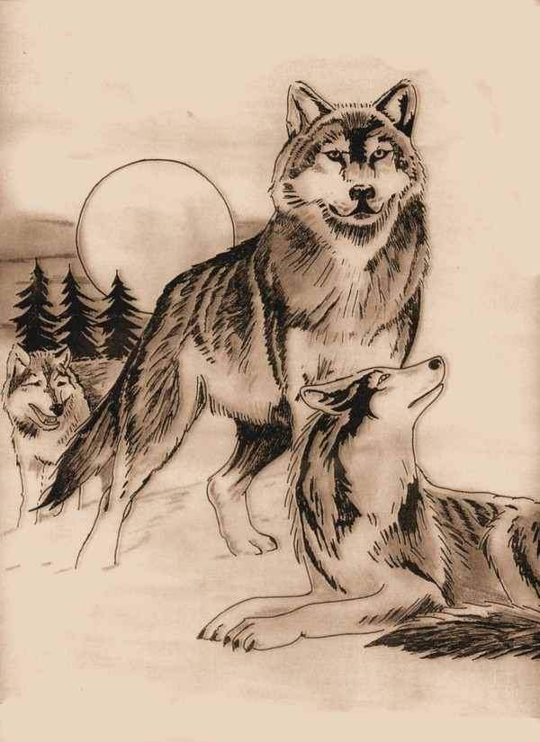 tattoo motive wolf tattoo vorlage