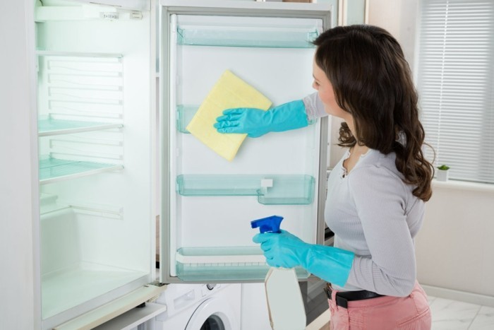 kühlschrank reinigen putzentipps richtig putzen