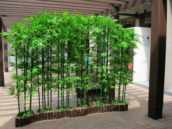 bambusbaum dekoration im garten ideen