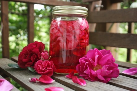 rosensirup selber machen rosen gesund