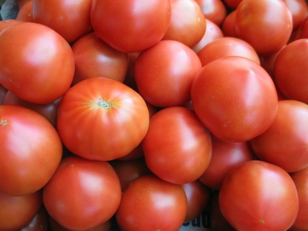 viele rote tolle tomaten gemüse richtig lagern