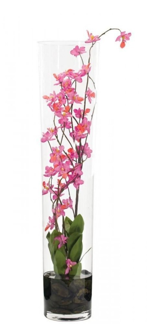 Wasserpflanze Orchidee
