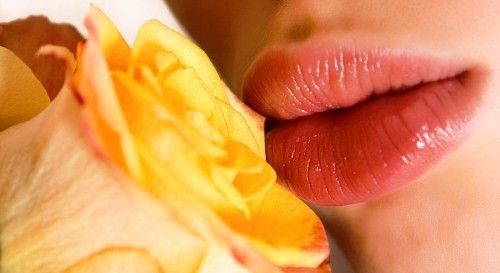 Lippenbalsam selber machen rose