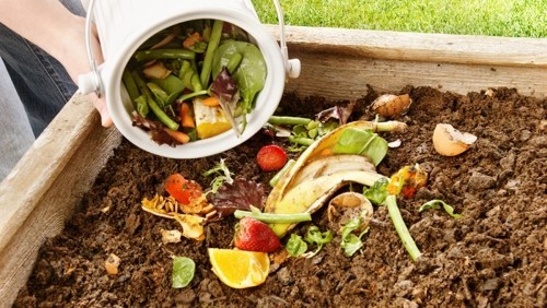 Rost entfernen mit Cola komposthaufen