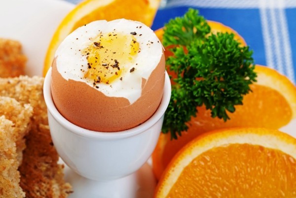 Tipps gegen Kater eier