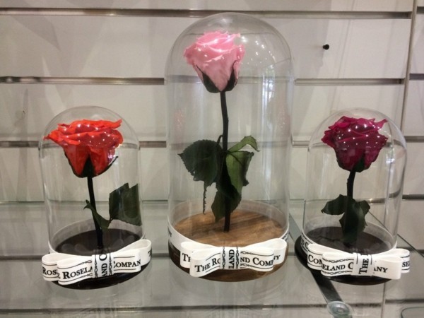 rosen konservieren geschenkideen valentinstagsgeschenke