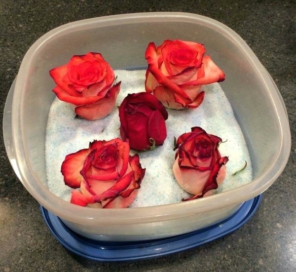 rosen konservieren mit silica blumen arrangiern