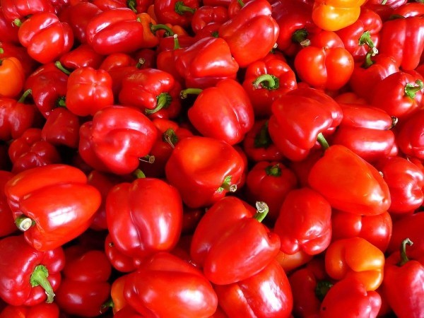 rote paprika lecker und gesundes essen