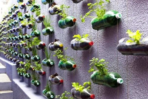 Basteln mit Plastikflaschen hängegarten