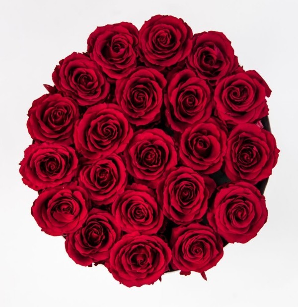 Luxuriöse wunderschöne Rosenbox mit dunkelroten rosen blick von oben