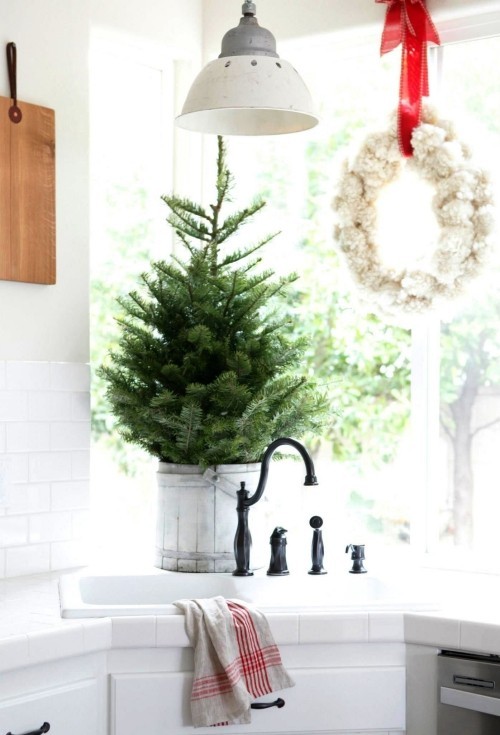 Weihnachtsbaum im Topf in der küche am fenster