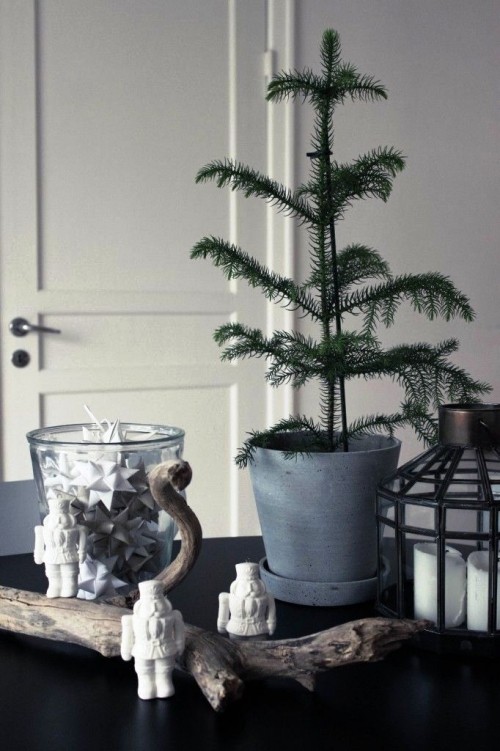 Weihnachtsbaum im Topf sehr klein und minimalistisch