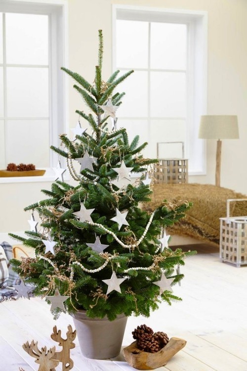 Weihnachtsbaum im Topf wenig weiße deko