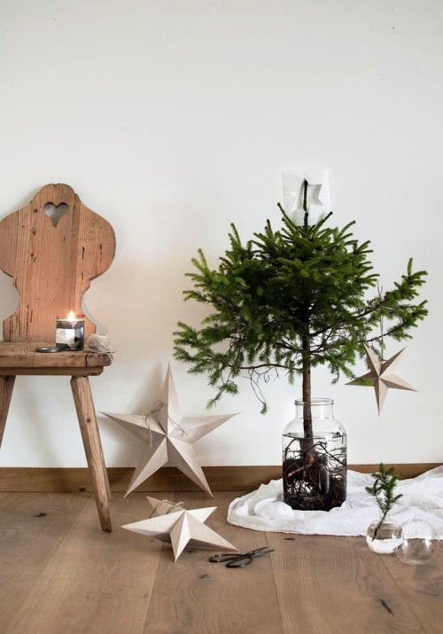 Weihnachtssterne aus Holz kleiner tannenbaum in einmachglas