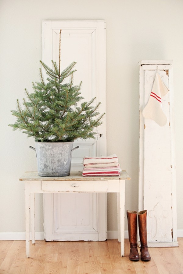 topf kleiner minimalistischer weihnachtsbaum