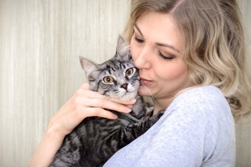 Allergiker Katzen frau und katze beziehung freundschaft zuneigung