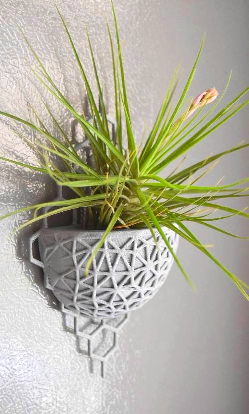 Tillandsien – Luftpflanzen richtig pflegen und in Szene setzen 3d printierter topf für blühende luftpflanze