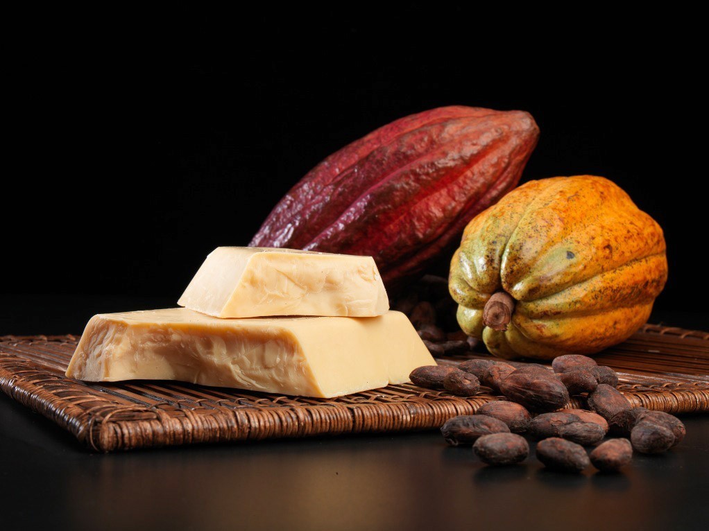 schönheitstipps kakaobutter gesund kakaobutter kaufen