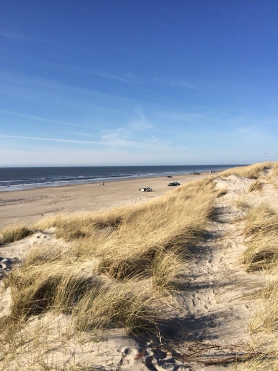 strandurlaub henne strand dänische nordseeküste