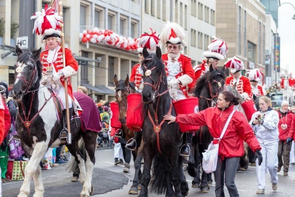Kölner Karneval 2019 rosenmontag zug mit pferden