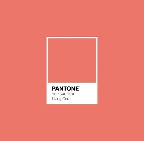 pantone farben trendfarben 2019 farbgestaltung