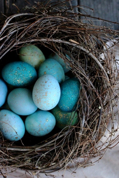Oster Eier bemalen – kreative Ideen und Anleitungen wanderdrossel eier effekt mit gold farbe