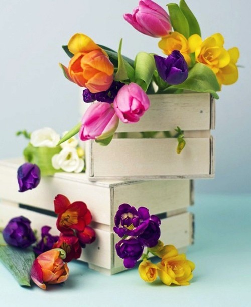 45 frische und leichte Ideen zum Frühlingsdeko selber machen holzkisten mit tulpen deko