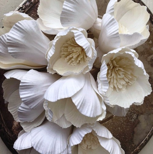 80 frische frühlingshafte Ideen zum Tulpen basteln shabby chic weiße tulpen papier