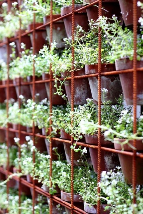 95 rostige Gartendeko Ideen für ein bezauberndes Vintage Exterieur vertikaler gartenbau mit kleinen töpfen