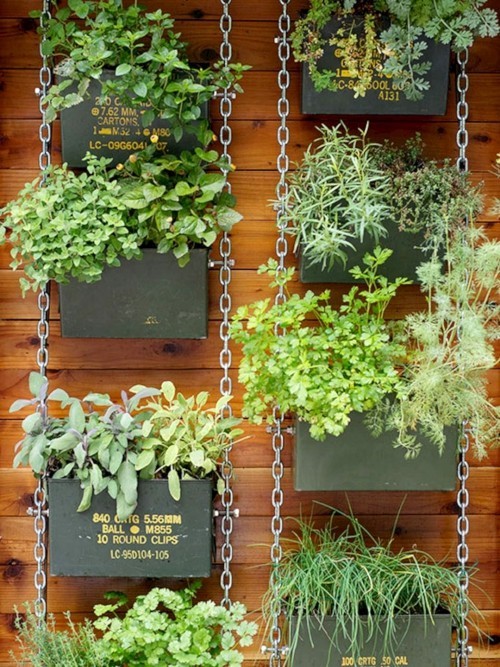 Diese 60 DIY hängende Gärten liegen voll im Trend ammo kasten regale kräuter