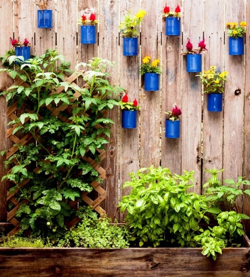 Diese 60 DIY hängende Gärten liegen voll im Trend dosen konsterven blau bunt garten
