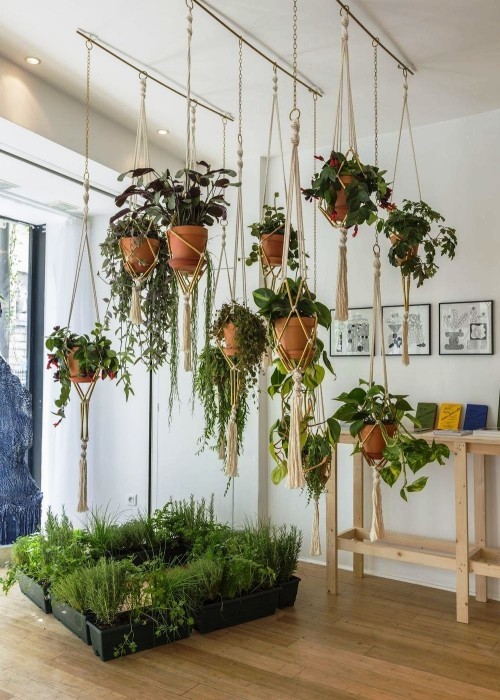 Diese 60 DIY hängende Gärten liegen voll im Trend exotisches paradies im wohnraum