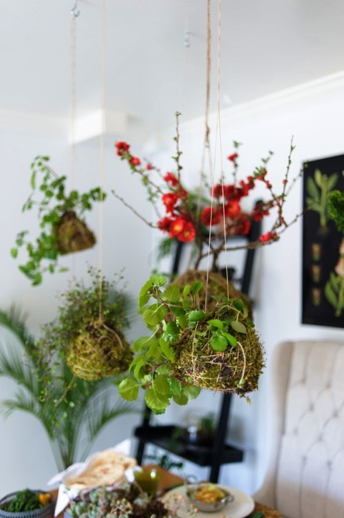 Diese 60 DIY hängende Gärten liegen voll im Trend kokedama moos ball bunt schön