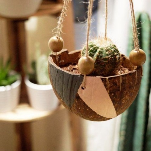 Diese 60 DIY hängende Gärten liegen voll im Trend kokos nuss schale kaktus
