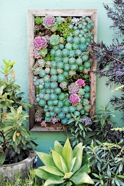 Diese 60 DIY hängende Gärten liegen voll im Trend kunst sukkulenten feen garten