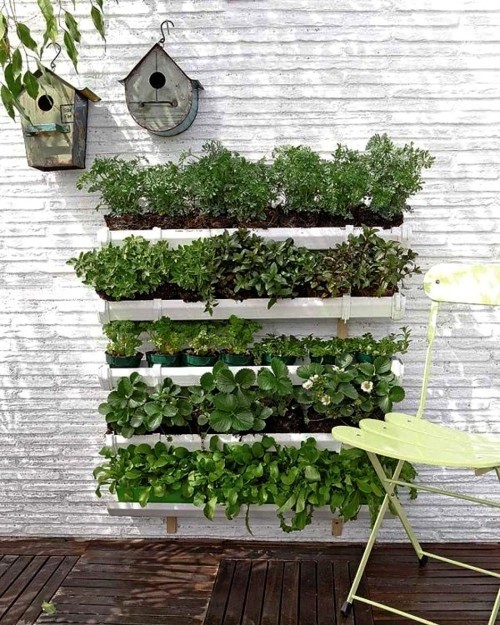 Diese 60 DIY hängende Gärten liegen voll im Trend pvc röhren kräutergarten