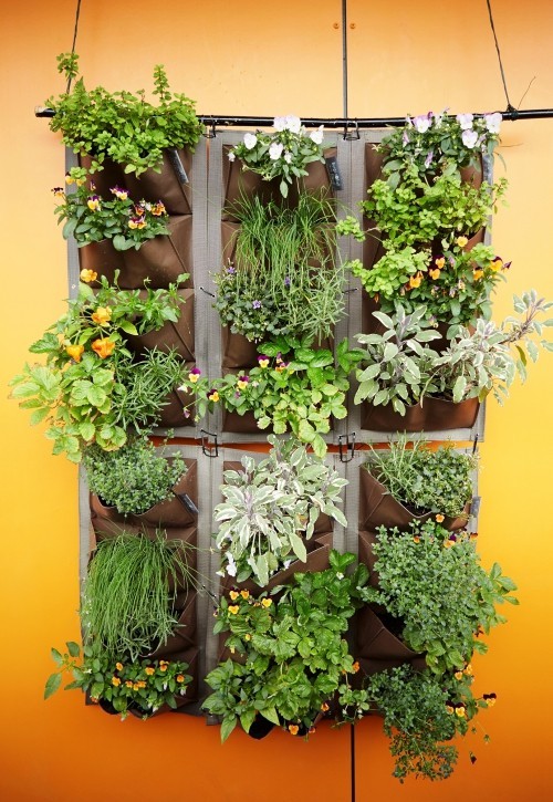 Diese 60 DIY hängende Gärten liegen voll im Trend schuhorganiser kräutergarten küchen helfen