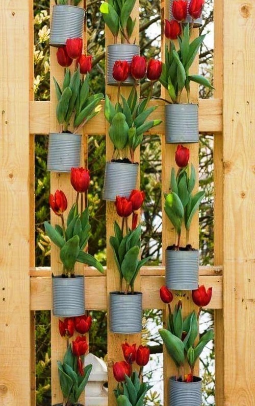 Diese 60 DIY hängende Gärten liegen voll im Trend tulpen konstervendosen rot