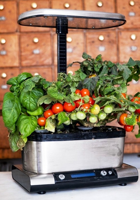 Geschenke für Frauen zum Geburtstag smart kräutergarten tomaten