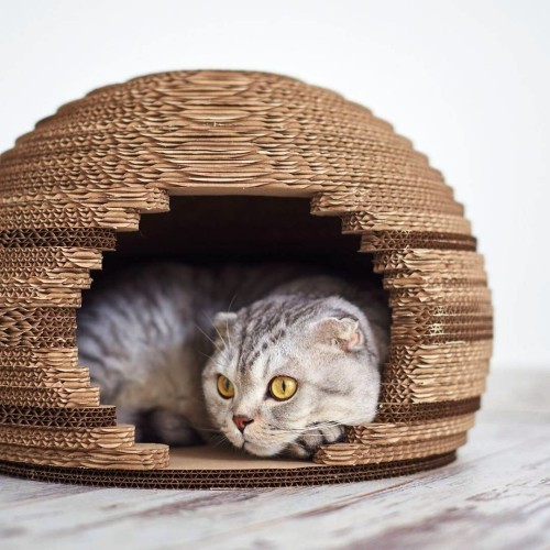 Leicht und kreativ Kratzbäume für Katzen selber bauen bett katze aus pappe süß