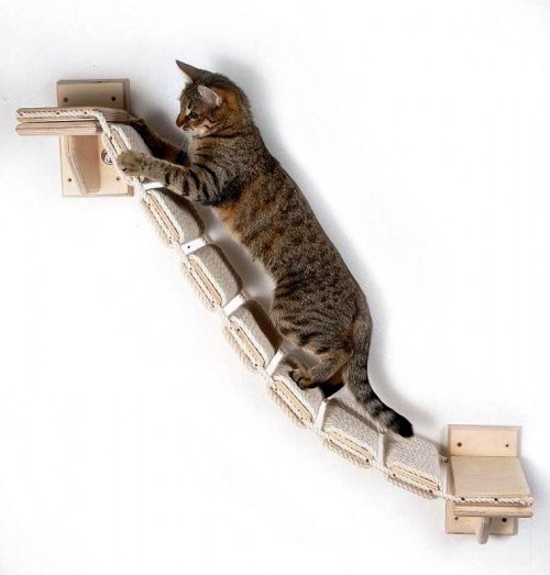 Leicht und kreativ Kratzbäume für Katzen selber bauen brücke vertikal katze haustier