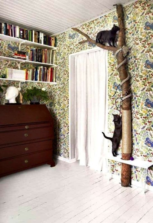 Leicht und kreativ Kratzbäume für Katzen selber bauen hoher kretterturm katzen decke