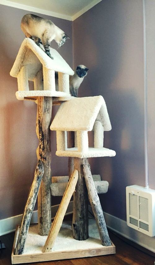 Leicht und kreativ Kratzbäume für Katzen selber bauen hoher weißer baum aus treibholz