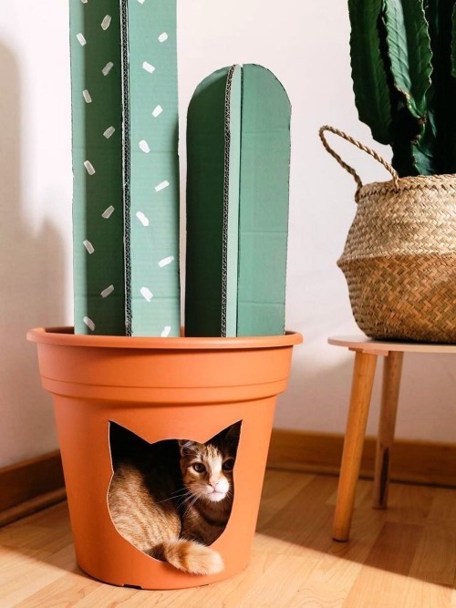 Leicht und kreativ Kratzbäume für Katzen selber bauen kaktus aus pappe blumentopf bett