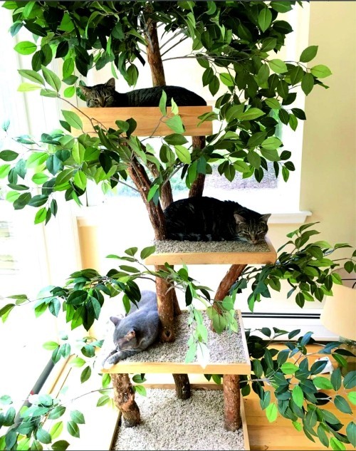 Leicht und kreativ Kratzbäume für Katzen selber bauen natürlicher kratzbaum mit kunstpflanzen und holz