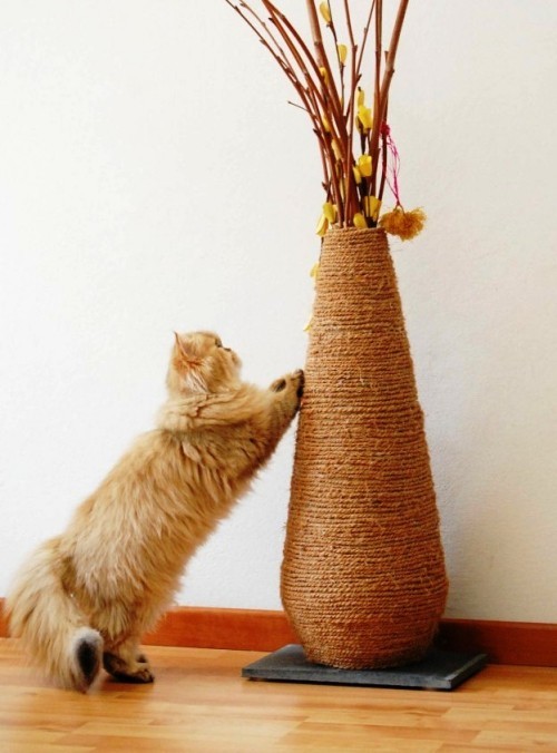 Leicht und kreativ Kratzbäume für Katzen selber bauen vase in seil wickeln und fertig