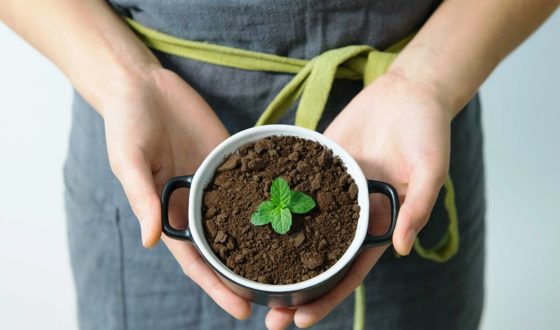 Richtig und vielfältig Kaffeesatz als Dünger im Garten anwenden