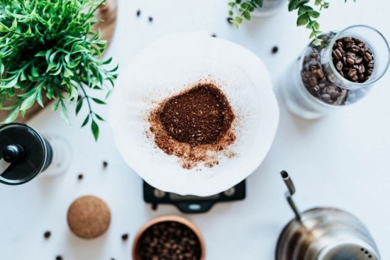 Richtig und vielfältig Kaffeesatz als Dünger im Garten anwenden kaffeefilter frisch trocken