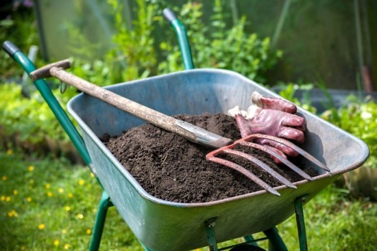 Wurmkiste anbauen und die Vorteile vom eigenen Bio-Dünger ernten gärtnerei leicht gemacht mit wurmhumus