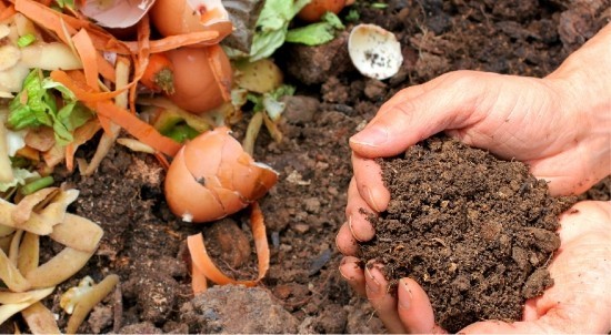 Wurmkiste anbauen und die Vorteile vom eigenen Bio-Dünger ernten kompost selber zubereiten